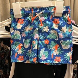 NWOT Boy’s Swim Shorts